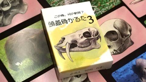 [頭蓋骨かるた３]